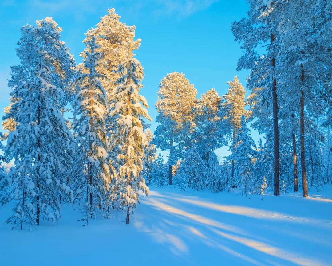 零下71℃！世界最冷的地方，北极熊扛不住，挖坟需要3天，仅有500人居住，却有无数人抢着来