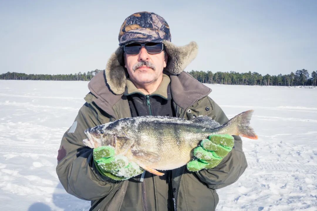 零下71℃！世界最冷的地方，北极熊扛不住，挖坟需要3天，仅有500人居住，却有无数人抢着来