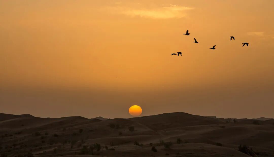 我国唯一“没有蚊子”的城市，曾是七朝古都！100块到天水，物价超低，被王维疯狂表白，却鲜为人知