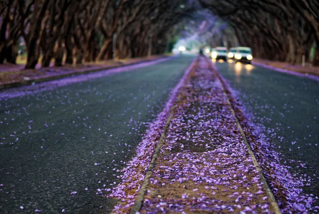 世界唯一人人“亿万富翁”的国家：一个鸡蛋20万亿，花钱论斤称，钞票遍地没人捡！却买不起水喝......