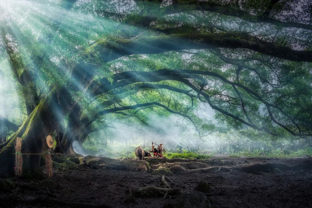 美过厦门，打败福州！这座被遗忘的小城，竟是“中国最美”，它凭什么？