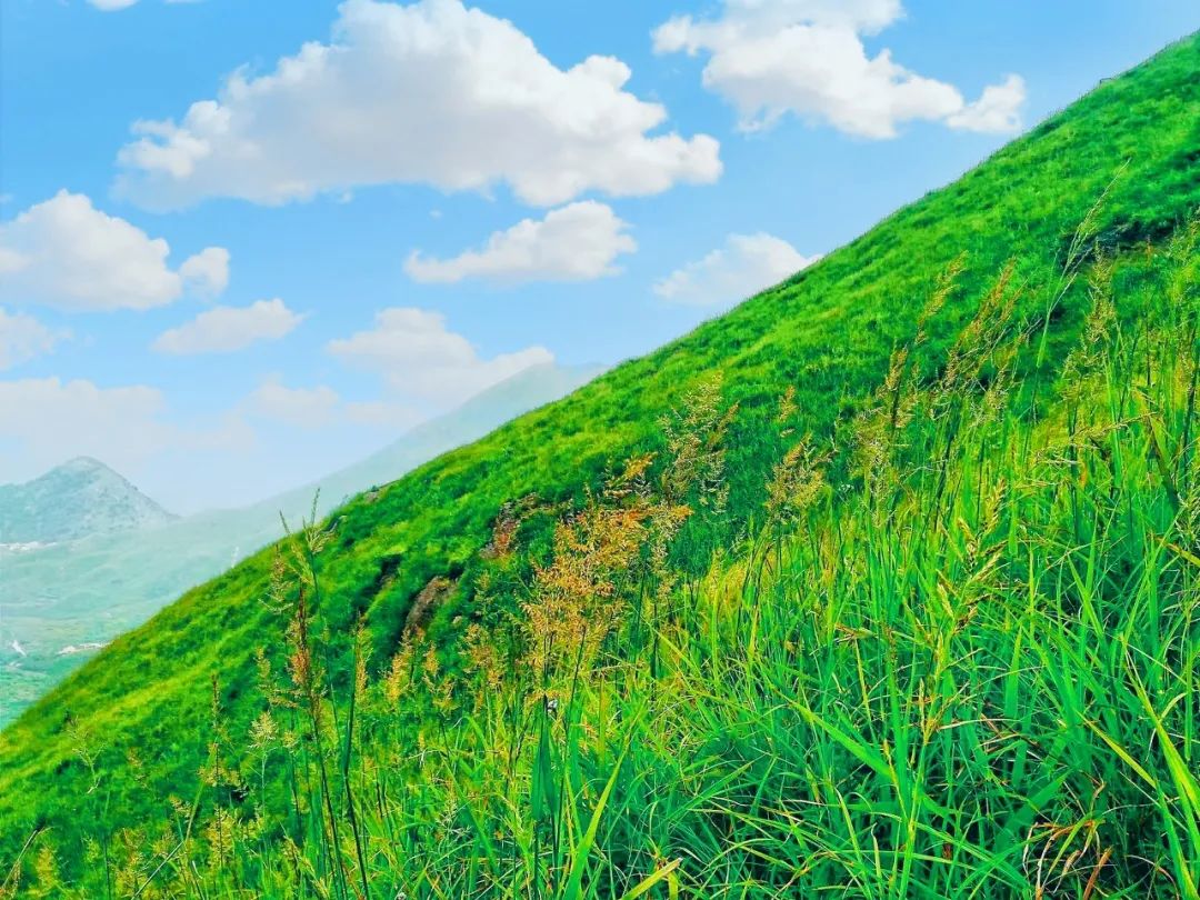 美过厦门，打败福州！这座被遗忘的小城，竟是“中国最美”，它凭什么？