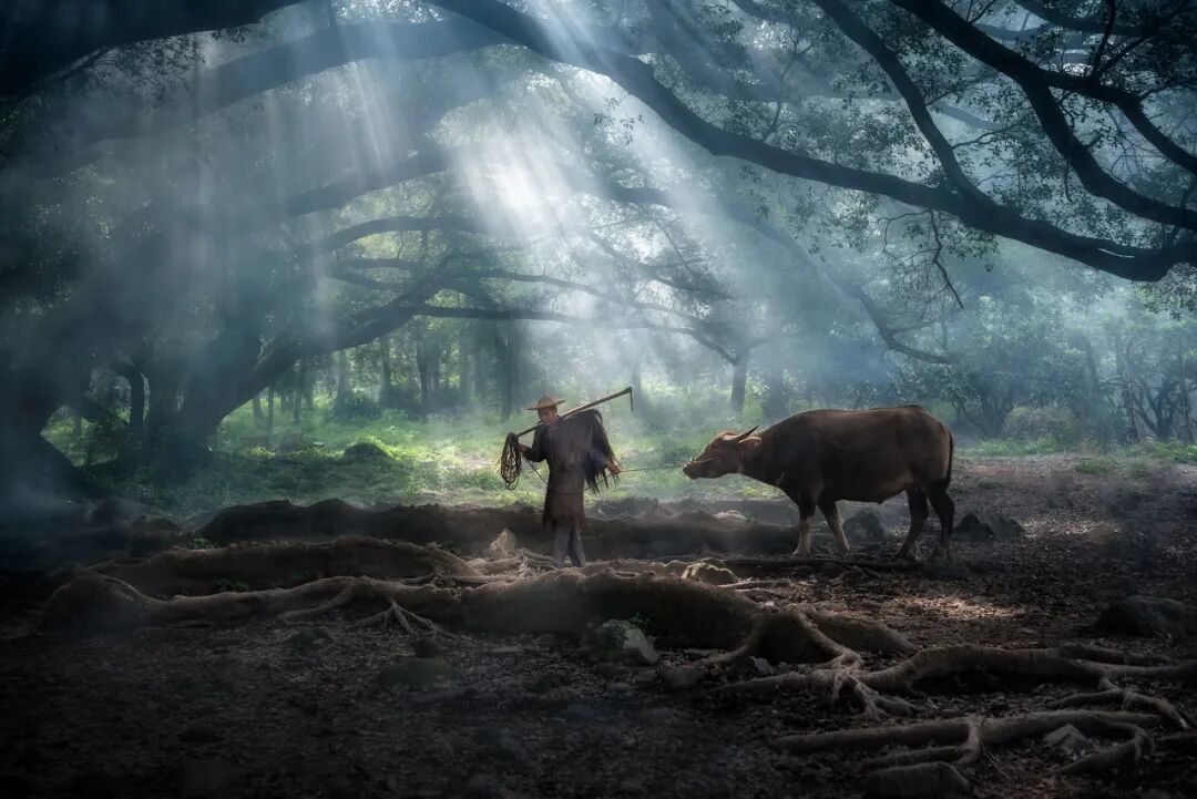 美过厦门，打败福州！这座被遗忘的小城，竟是“中国最美”，它凭什么？