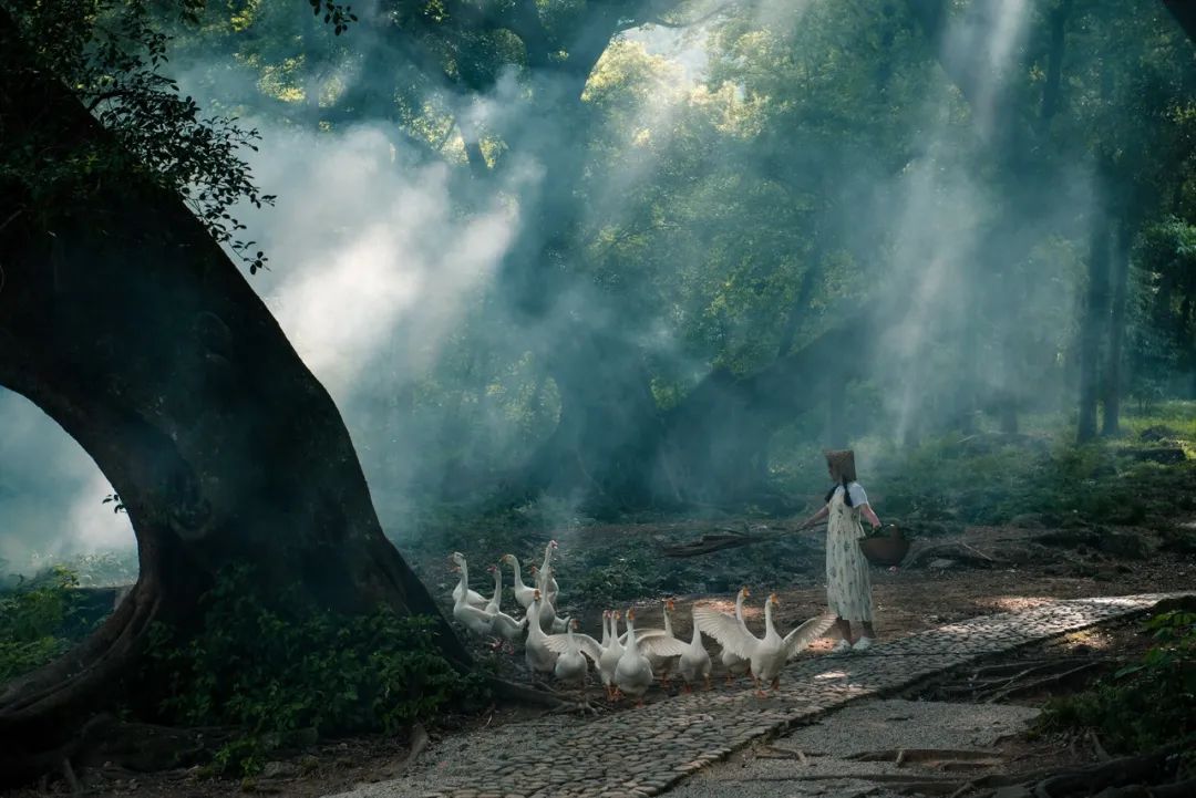 美过厦门，打败福州！这座被遗忘的小城，竟是“中国最美”，它凭什么？