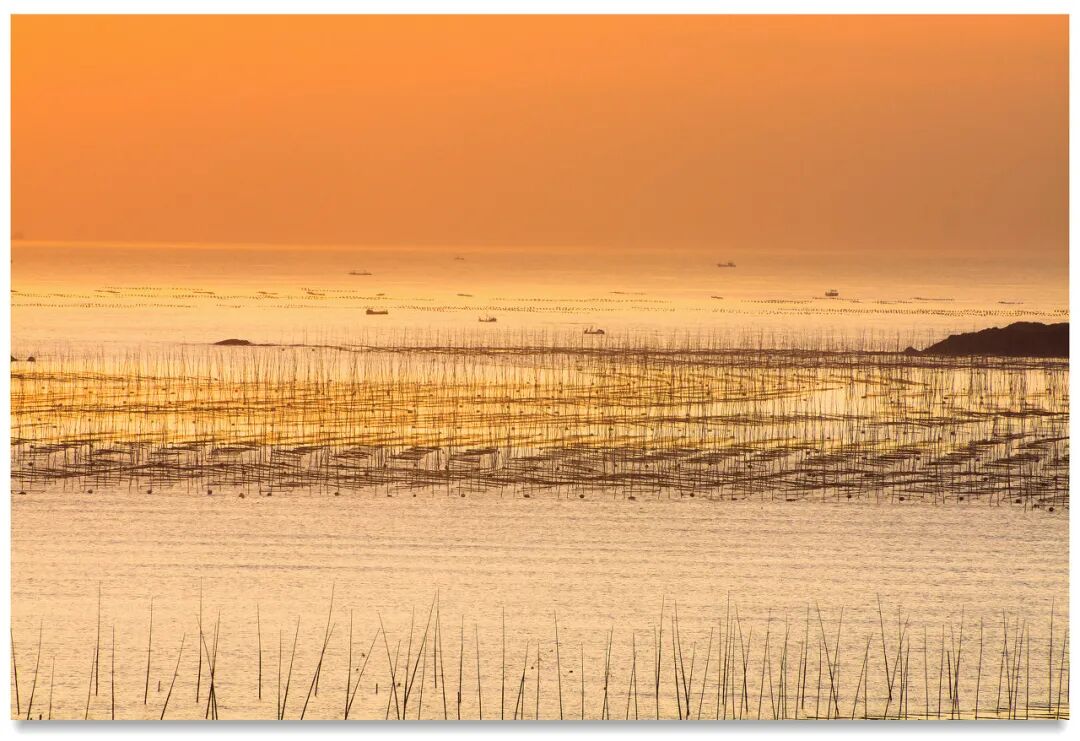 美过厦门，打败福州！这座被遗忘的小城，竟是“中国最美”，它凭什么？
