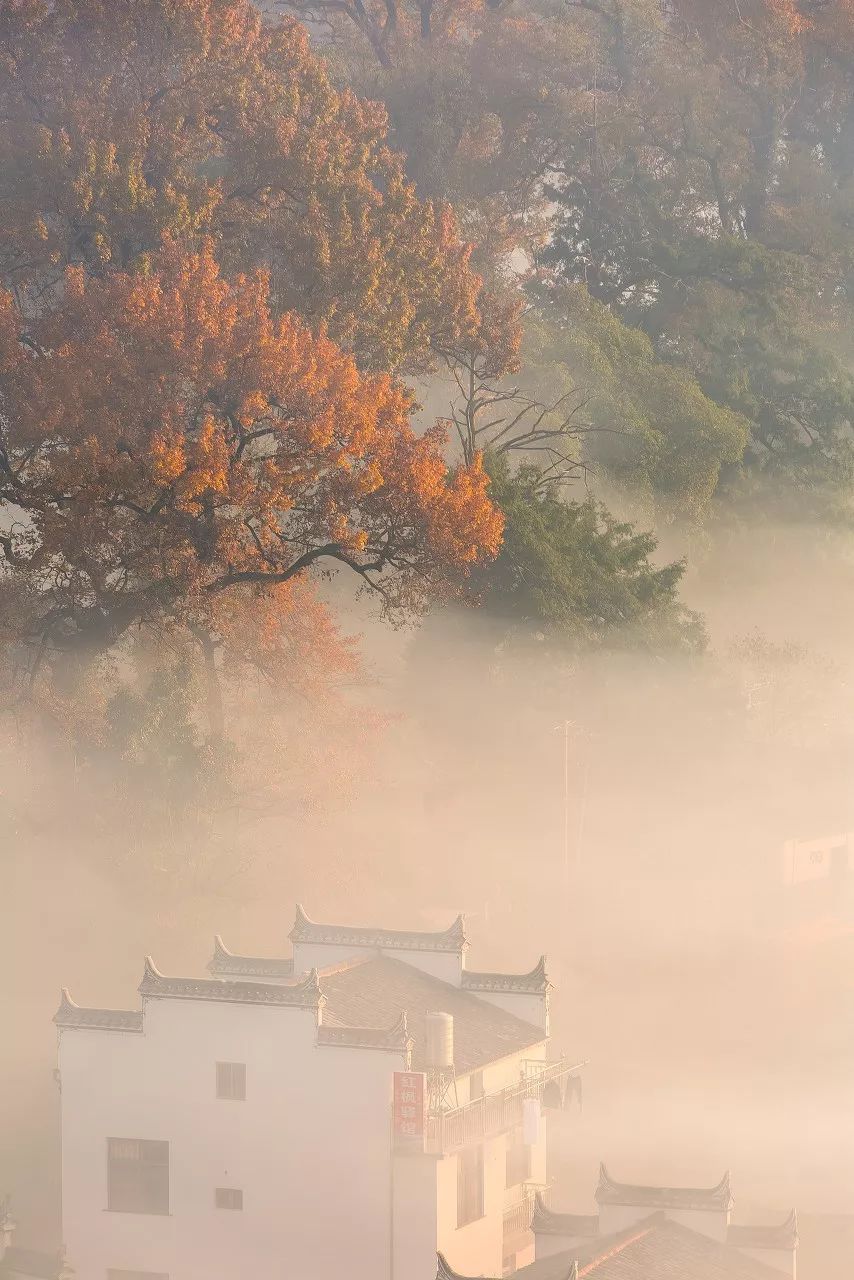 放棄熱門景點吧，這些被人遺忘的古村鎮，才是十一最該去的地方！ 旅遊 第4張