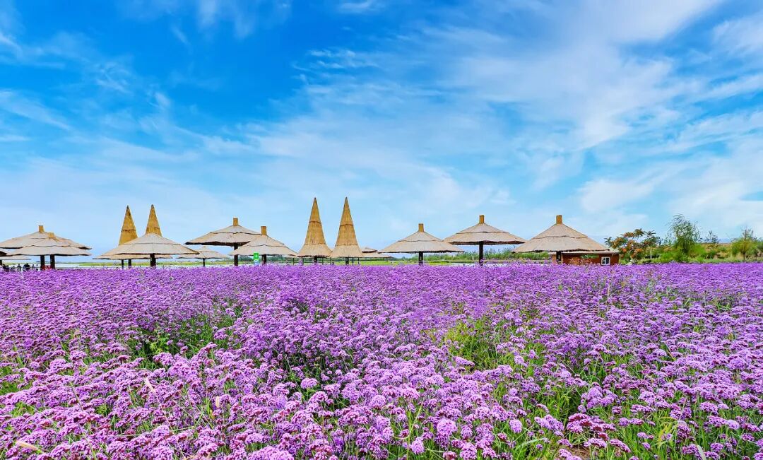 比喀什小众，比北非神秘，中国“摩洛哥”刷爆朋友圈！王维挚爱，1000+吃饱喝足，真的被低估太久了