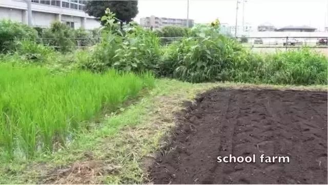 日本的教育有多震撼？“放手”才能给孩子更多的成长空间！