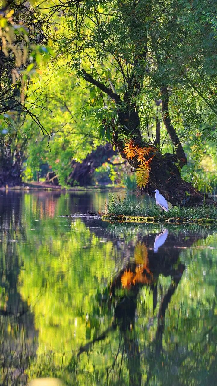 适合一个人去的8个小众古镇：不费钱，不需要攻略！1000元就能玩到爽，累了倦了，就来走一走