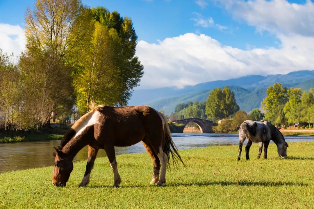 适合一个人去的8个小众古镇：不费钱，不需要攻略！1000元就能玩到爽，累了倦了，就来走一走