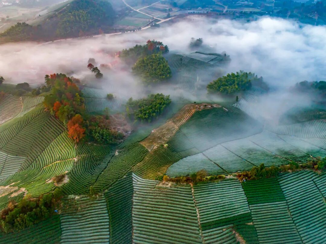 反向旅游，拒绝人山人海！8个冷门旅游地推荐！人少景美，还便宜