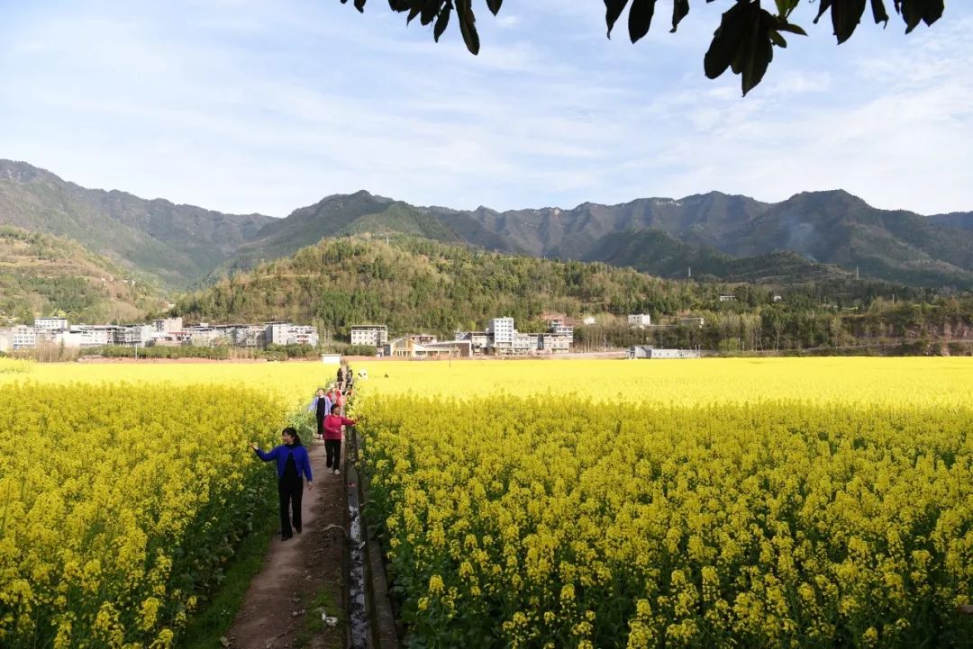 國慶期間！全國近200個免費景點一覽表，該去旅行了！ 旅遊 第67張