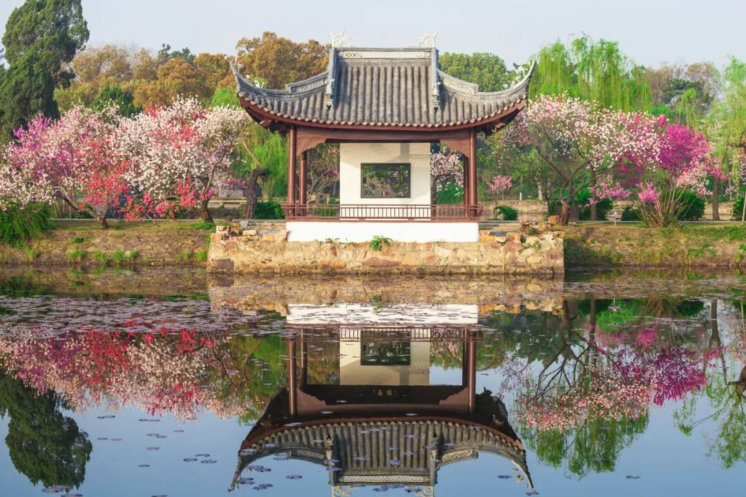 全国最“甜”的城市：打败浙江沪，甜倒苏东坡！比成都还安逸，比苏杭更江南，高铁直达，是时候出圈了！