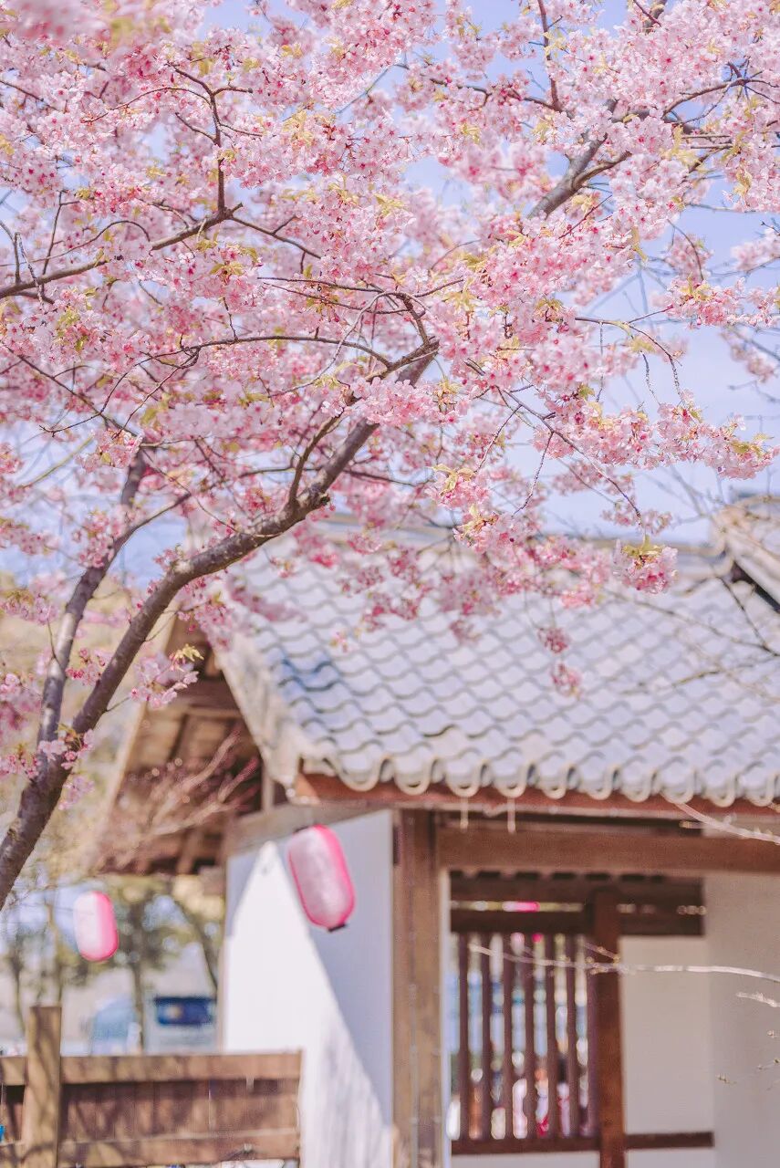 全国最“甜”的城市：打败浙江沪，甜倒苏东坡！比成都还安逸，比苏杭更江南，高铁直达，是时候出圈了！