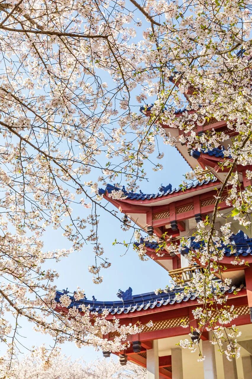 全国最“甜”的城市：打败浙江沪，甜倒苏东坡！比成都还安逸，比苏杭更江南，高铁直达，是时候出圈了！