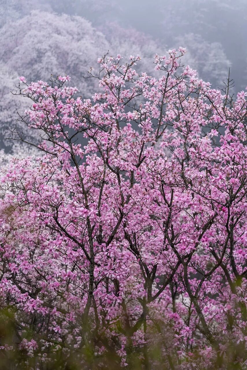 中国最牛的城市：竟有14个火车站、3个高铁站，一座飞机场！李白疯狂表白，不输成都，却鲜为人知