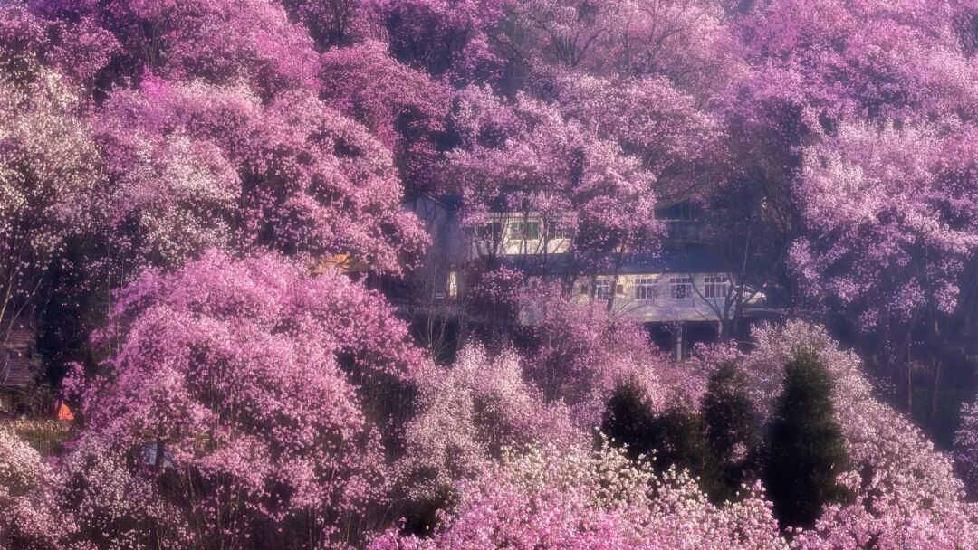 中国最牛的城市：竟有14个火车站、3个高铁站，一座飞机场！李白疯狂表白，不输成都，却鲜为人知