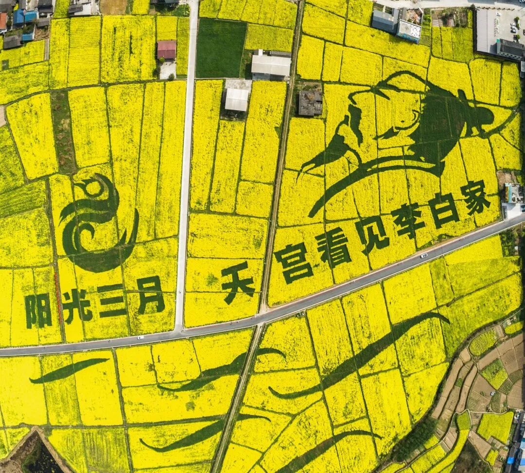 中国最牛的城市：竟有14个火车站、3个高铁站，一座飞机场！李白疯狂表白，不输成都，却鲜为人知