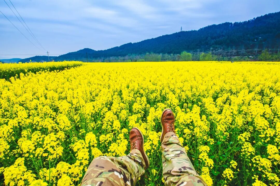 中国最牛的城市：竟有14个火车站、3个高铁站，一座飞机场！李白疯狂表白，不输成都，却鲜为人知