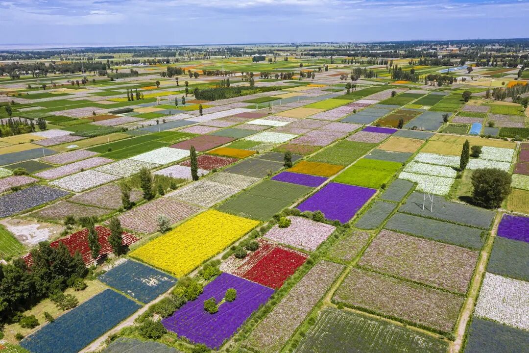 中国最便宜的地方：28元/平，2000元能买套房，全城只剩一个红绿灯，网友：白给也不要