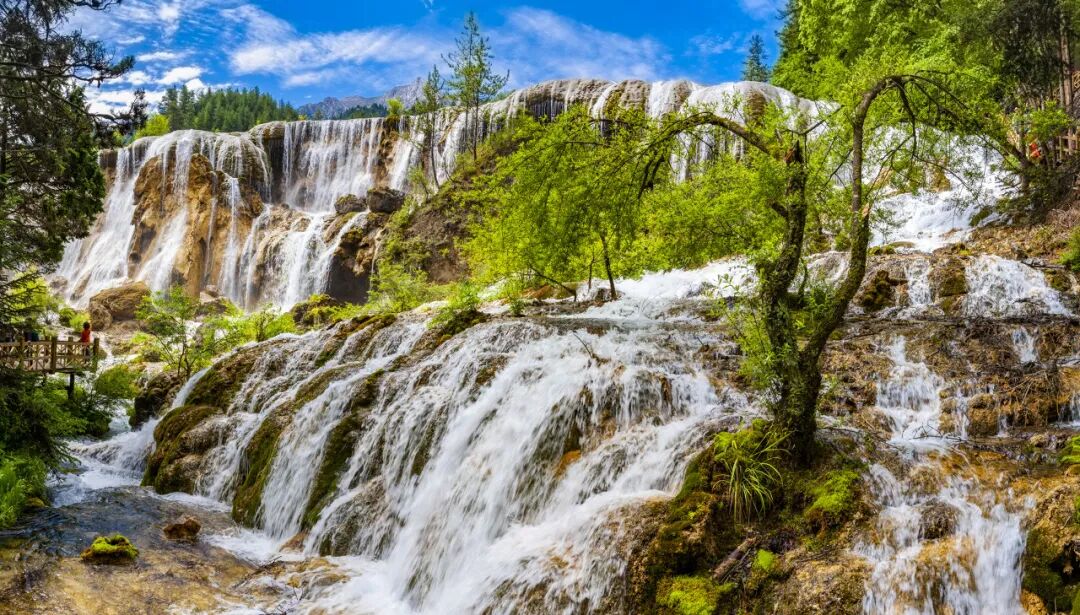 中国0差评的5A景区：不宰客，不排长队，如厕自由，还是此生必去！网友：所有景区都来学习