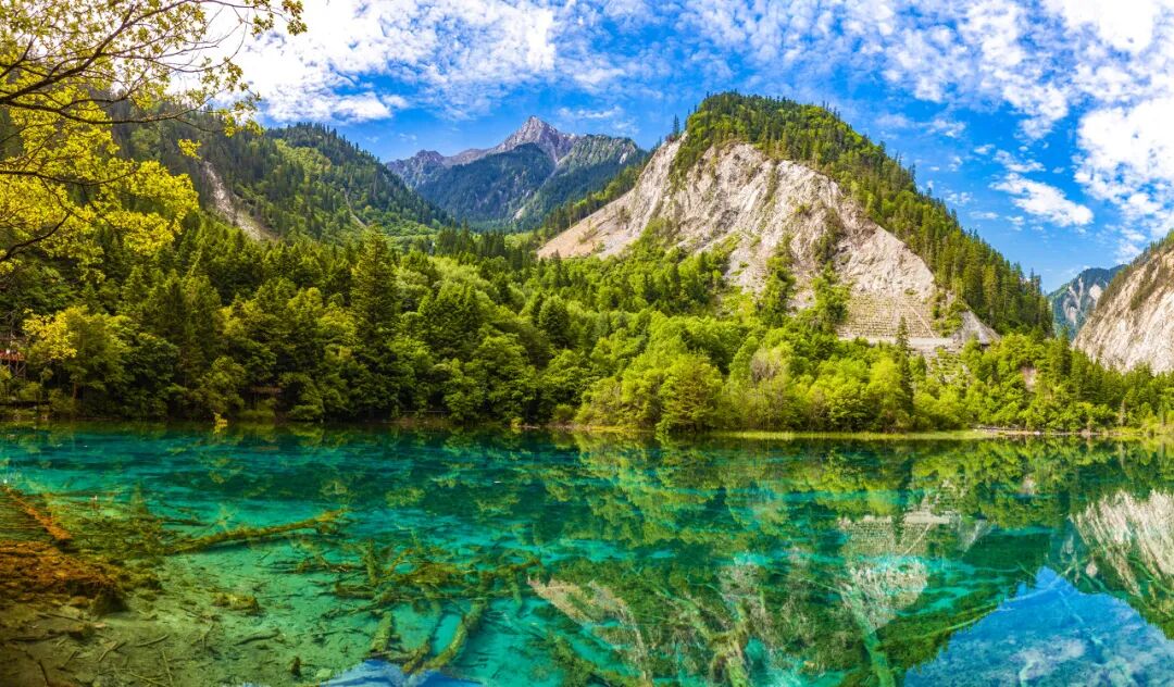 中国0差评的5A景区：不宰客，不排长队，如厕自由，还是此生必去！网友：所有景区都来学习