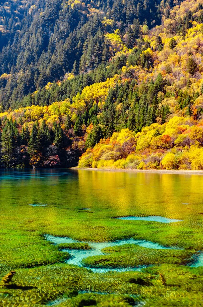 中国0差评的5A景区：不宰客，不排长队，如厕自由，还是此生必去！网友：所有景区都来学习