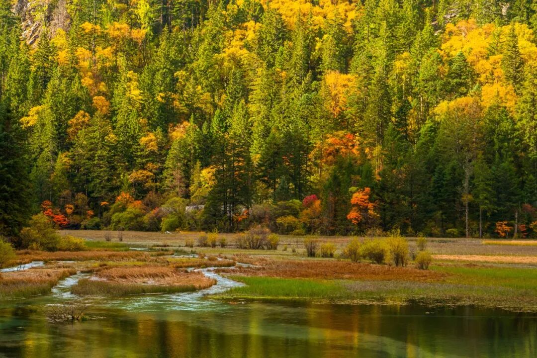 中国0差评的5A景区：不宰客，不排长队，如厕自由，还是此生必去！网友：所有景区都来学习