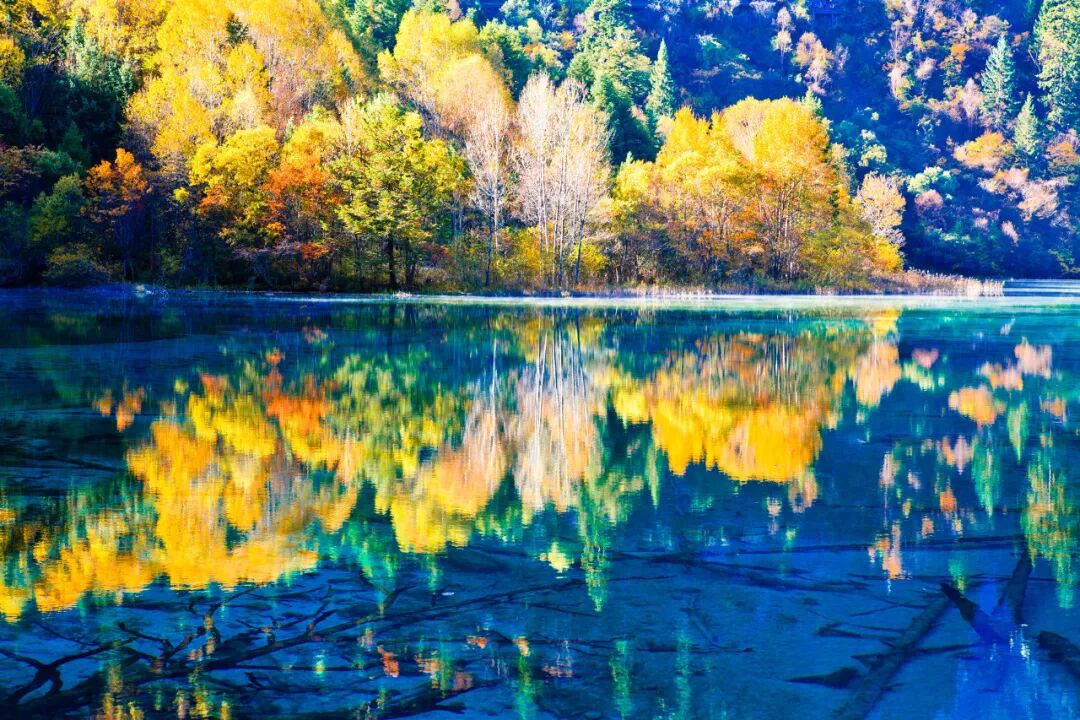 中国0差评的5A景区：不宰客，不排长队，如厕自由，还是此生必去！网友：所有景区都来学习