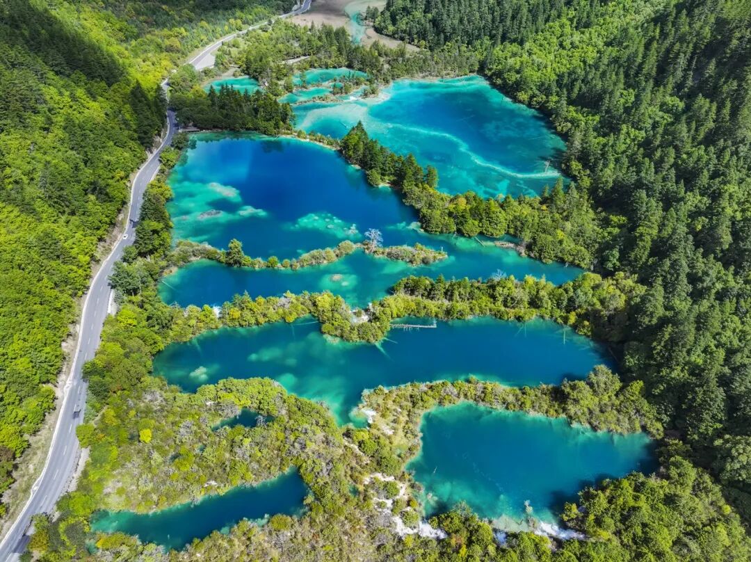 中国0差评的5A景区：不宰客，不排长队，如厕自由，还是此生必去！网友：所有景区都来学习