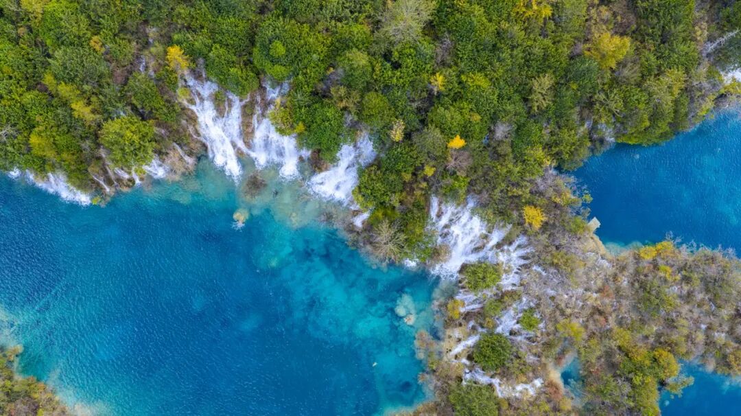 中国0差评的5A景区：不宰客，不排长队，如厕自由，还是此生必去！网友：所有景区都来学习