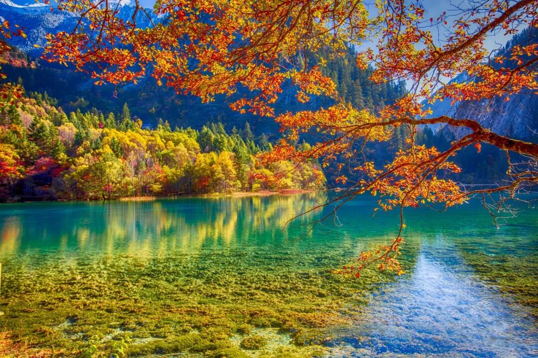 中国0差评的5A景区：不宰客，不排长队，如厕自由，还是此生必去！网友：所有景区都来学习