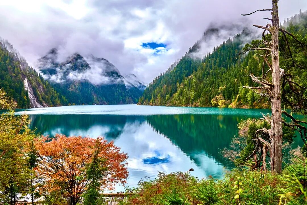 中国0差评的5A景区：不宰客，不排长队，如厕自由，还是此生必去！网友：所有景区都来学习