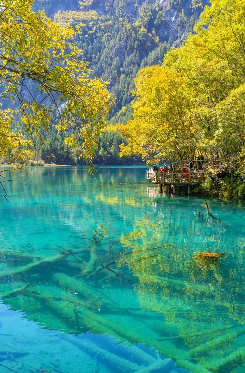 中国0差评的5A景区：不宰客，不排长队，如厕自由，还是此生必去！网友：所有景区都来学习