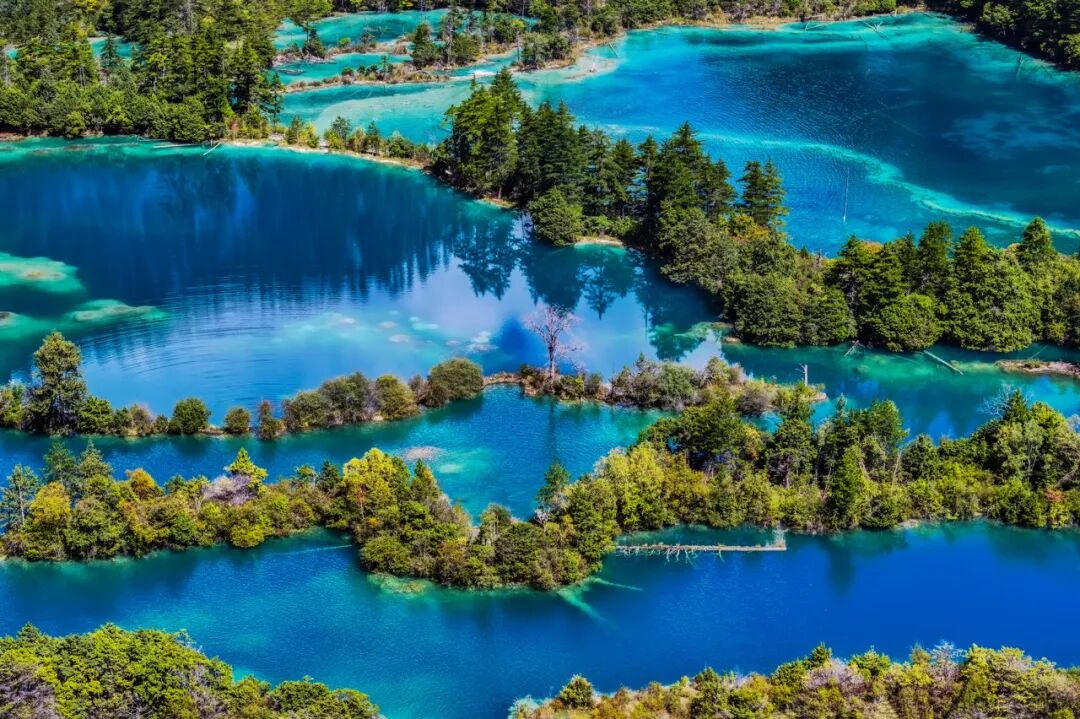 中国0差评的5A景区：不宰客，不排长队，如厕自由，还是此生必去！网友：所有景区都来学习