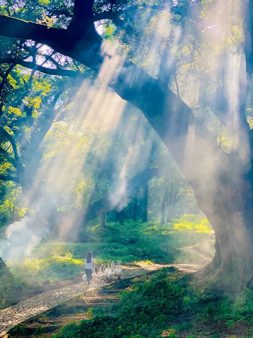 美过厦门，打败福州！这座被遗忘的小城，竟是“中国最美”，它凭什么？