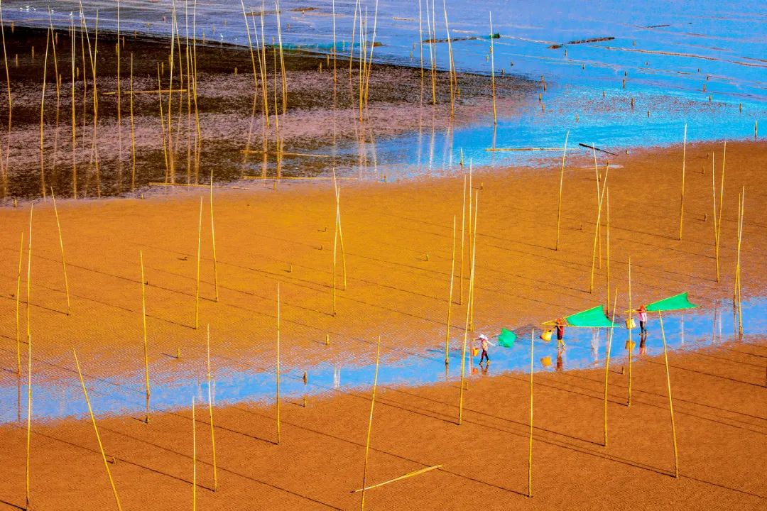 美过厦门，打败福州！这座被遗忘的小城，竟是“中国最美”，它凭什么？