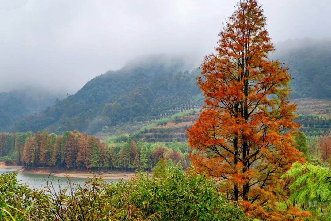 距杭州40min！它被评为全球美食NO.1小城，人均100连吃3天还能不重样，99%的人却都读错了名字！