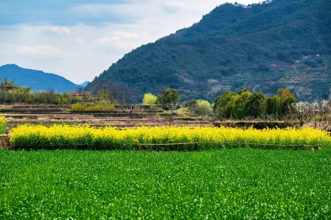 距杭州40min！它被评为全球美食NO.1小城，人均100连吃3天还能不重样，99%的人却都读错了名字！