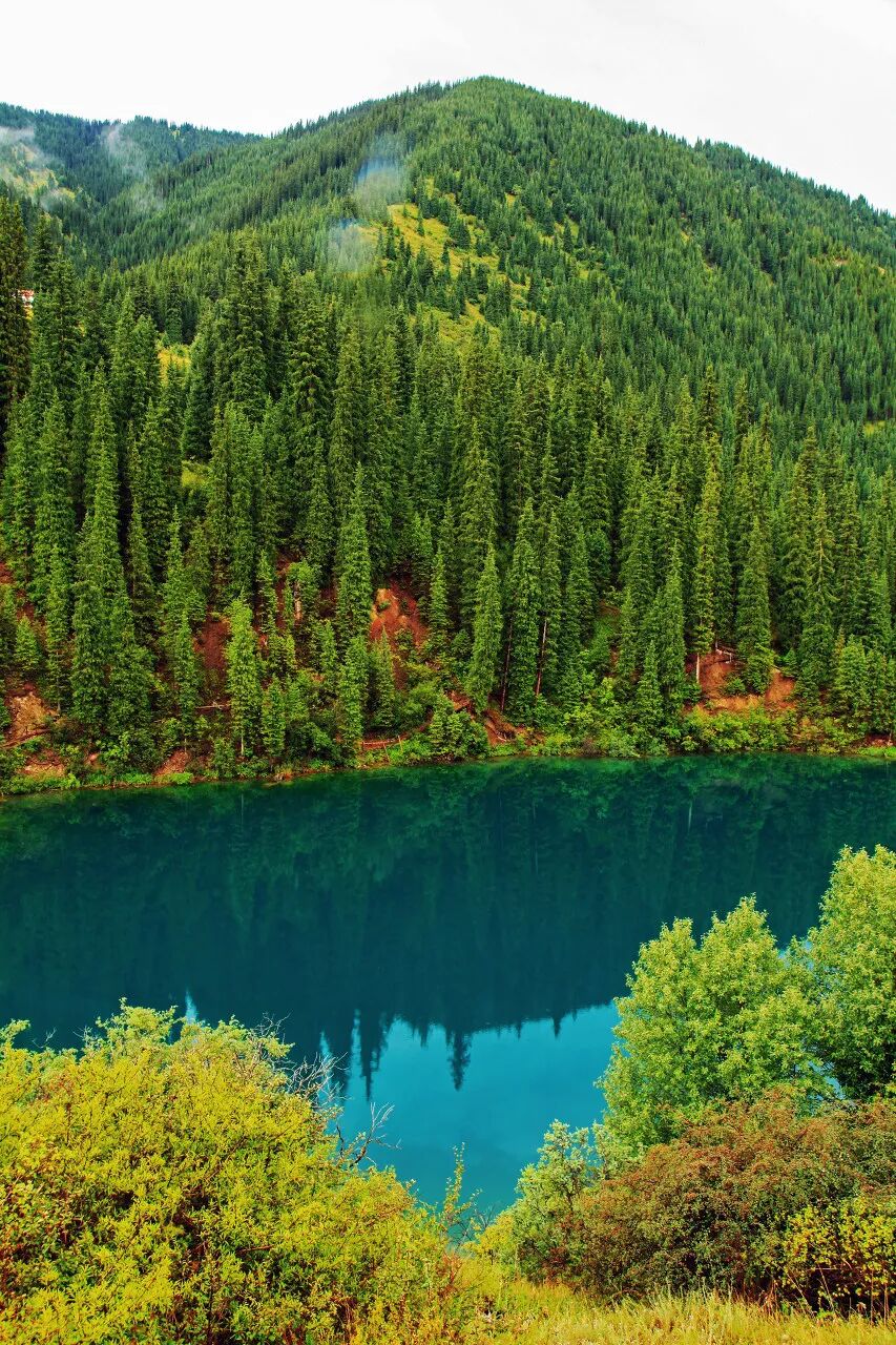 世界最“难去”的国家，对中国免签了！美女如云，景色不输瑞士，汽油2.5元一升，国内坐车35元就能去......