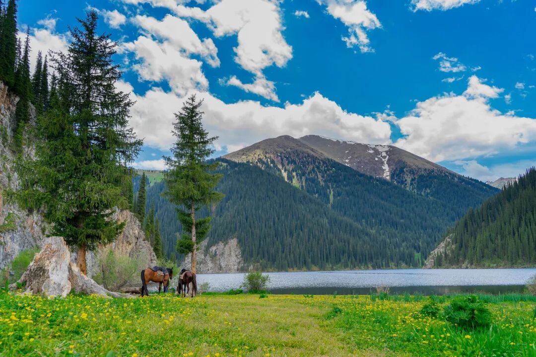 世界最“难去”的国家，对中国免签了！美女如云，景色不输瑞士，汽油2.5元一升，国内坐车35元就能去......