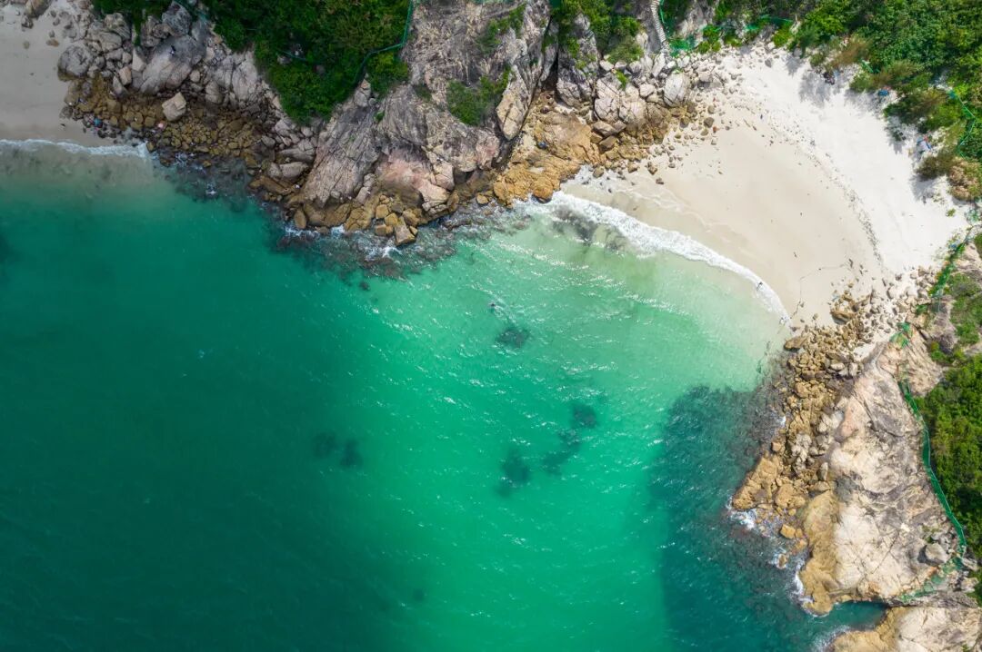 中国唯一没有“农村”的城市：无农民，40年前是小渔村！如今“富可敌国”，每年有500万人挤着来