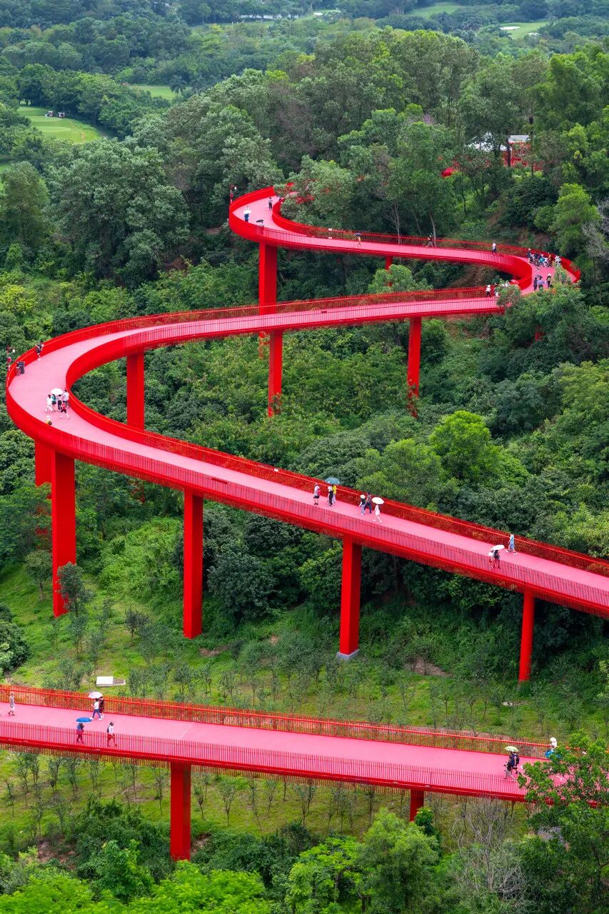 中国唯一没有“农村”的城市：无农民，40年前是小渔村！如今“富可敌国”，每年有500万人挤着来