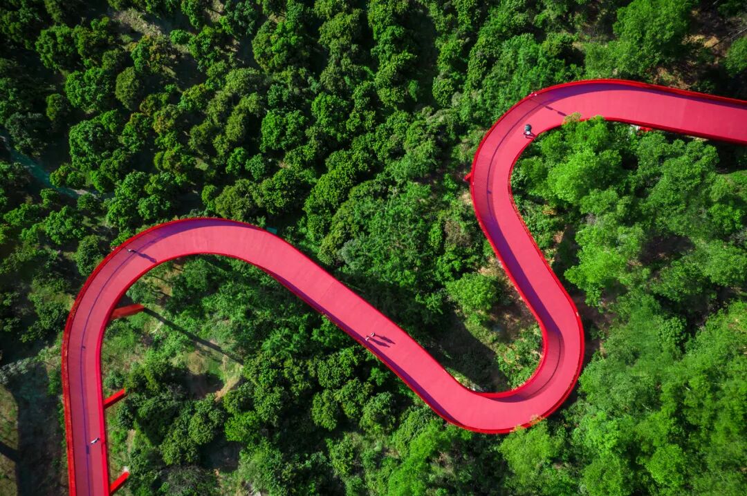 中国唯一没有“农村”的城市：无农民，40年前是小渔村！如今“富可敌国”，每年有500万人挤着来