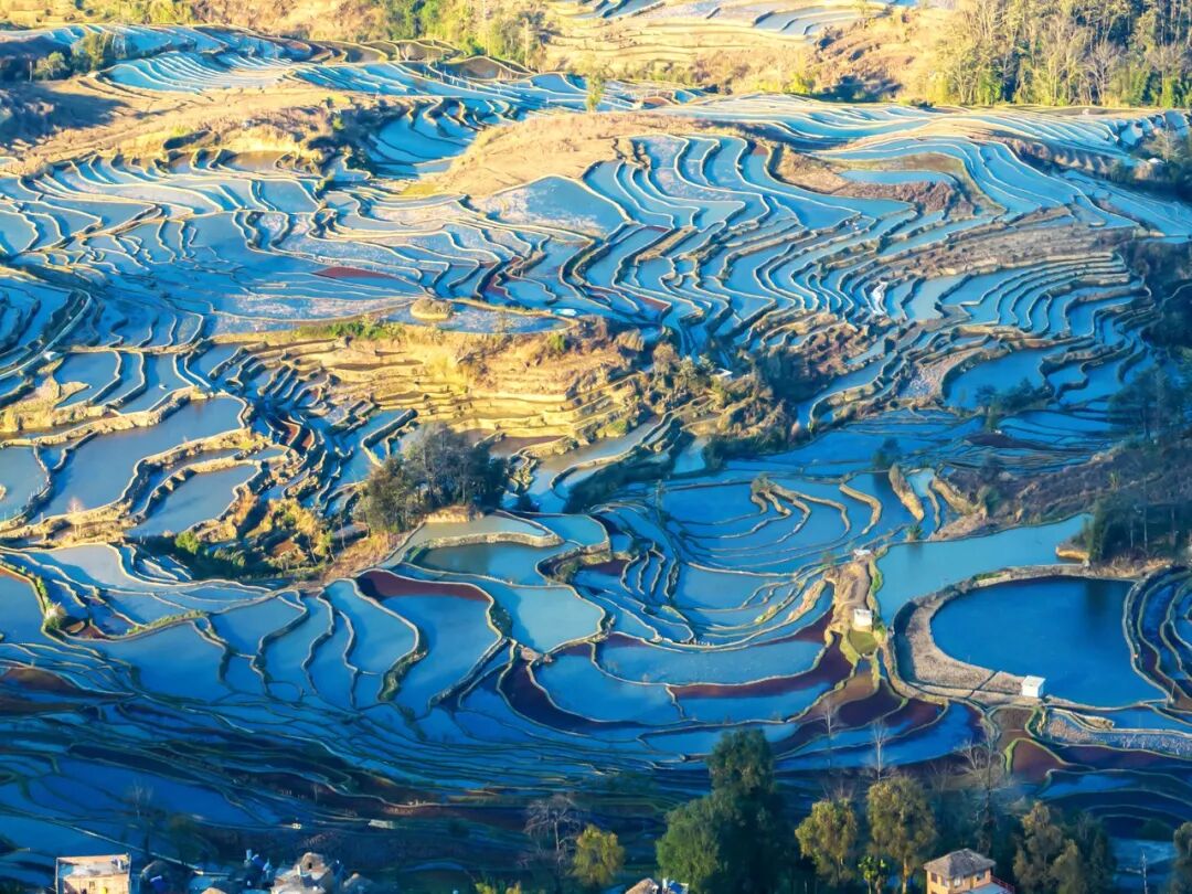 国内最适合“躺平”的城市：四季如春，房价叫板鹤岗！7W能买房，5点下班，每年却有3W人想逃离...