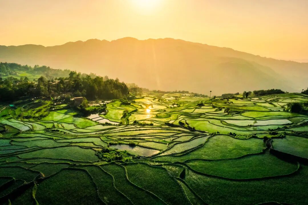 国内最适合“躺平”的城市：四季如春！房价不输鹤岗，6W买一套！5点下班，却有不少人逃离...