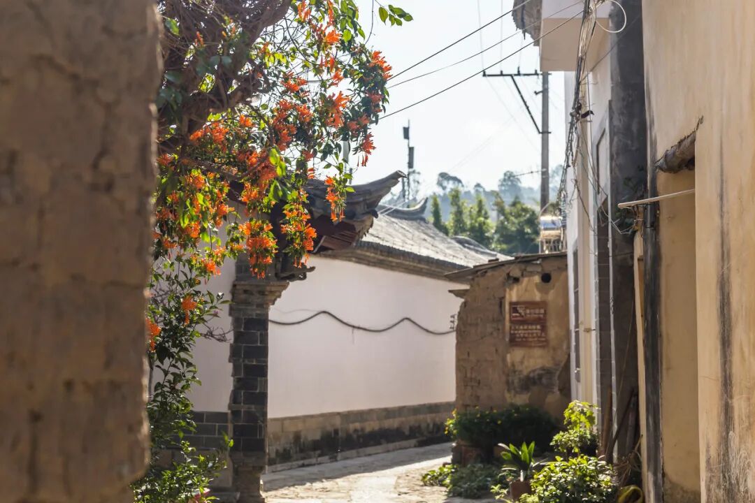 国内最适合“躺平”的城市：四季如春！房价不输鹤岗，6W买一套！5点下班，却有不少人逃离...