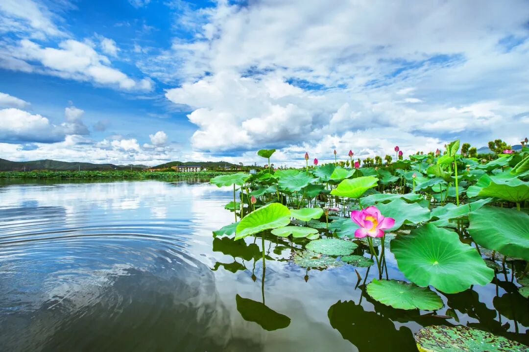 国内最适合“躺平”的城市：四季如春！房价不输鹤岗，6W买一套！5点下班，却有不少人逃离...