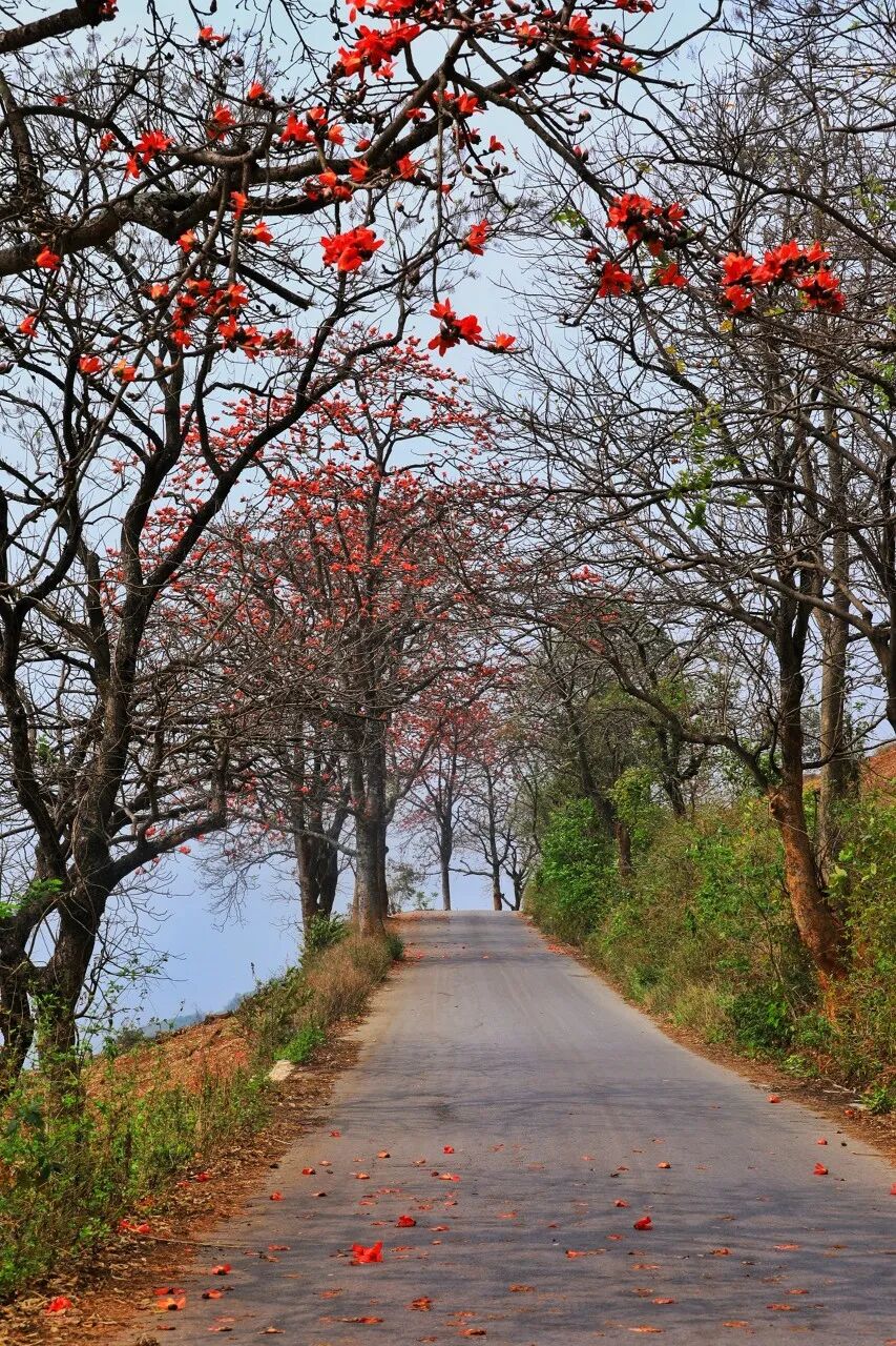 国内最适合“躺平”的城市：四季如春！房价不输鹤岗，6W买一套！5点下班，却有不少人逃离...