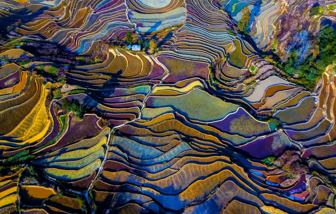 国内最适合“躺平”的城市：四季如春！房价不输鹤岗，6W买一套！5点下班，却有不少人逃离...